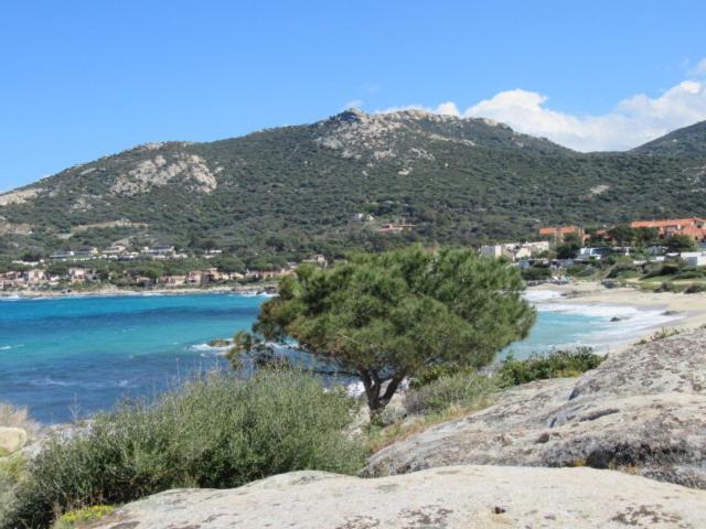 T2 Renove 100M Plage Avec Spa Privatif Entre Calvi Et Ile Rousse Lumio  Zewnętrze zdjęcie